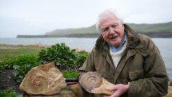 Sir David Attenborough issues warning to children over ‘dangerous’ exploits