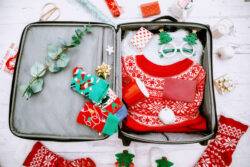 Ryanair warns never to bring these Christmas items in your luggage