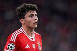 Benfica respond to Manchester United transfer link with Joao Neves