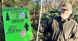 Christmas tree salesman in row with council ‘killjoys’ over ‘unsafe’ signs