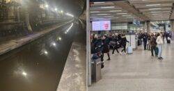 Chaos as Eurostar trains cancelled due to flooded tunnel under the Thames