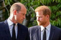 Harry ‘will avoid Christmas with William and Charles’ over Endgame drama
