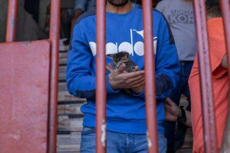 Inside the Chilean prison where inmates take care of almost 100 cats
