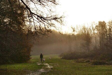 UK wakes up to sunny spells before it gets rainier by the hour