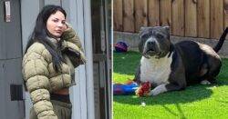 Woman jailed after her ex’s XL Bully attacked dog owner and mauled pet to death