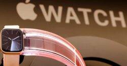 Apple stops selling some Apple Watches online