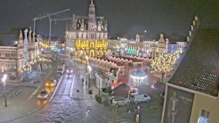 Woman, 63, dies after Christmas tree falls and crushes her at festive market