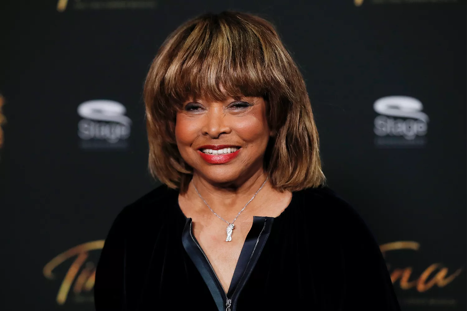 tina turner 6 0524 16032b56615f434790466130d6f71876 - WTX News Breaking News, fashion & Culture from around the World - Daily News Briefings -Finance, Business, Politics & Sports News