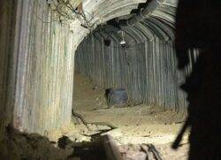 Deadly fungus with ‘no treatment’ reportedly found in Hamas tunnel network