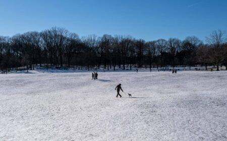 Nearly 90 dead after fierce winter storms strike US