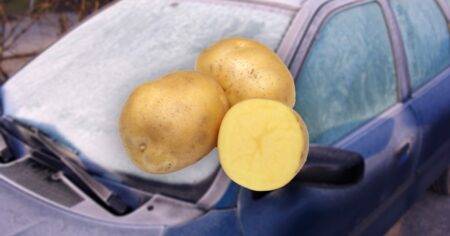 How a potato could stop your windscreen from freezing