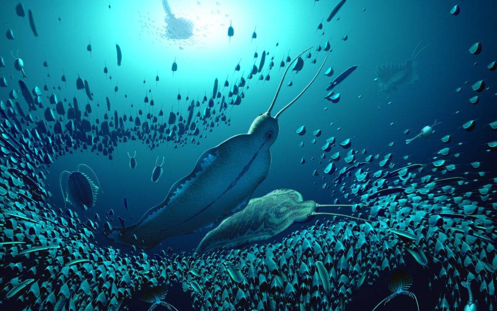 Millions of years ago, the oceans were ruled by a surprising ‘terror beast’