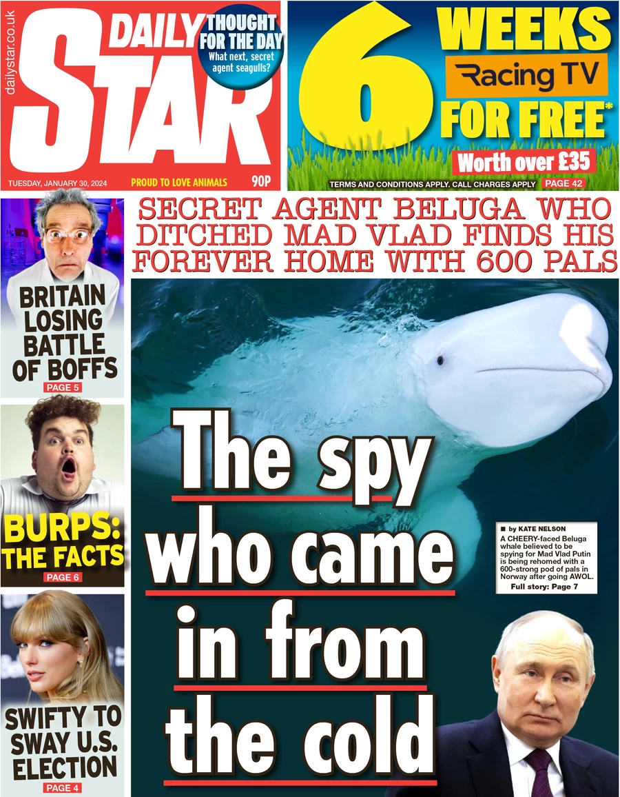 Daily Star - The spy who came in from the cold 