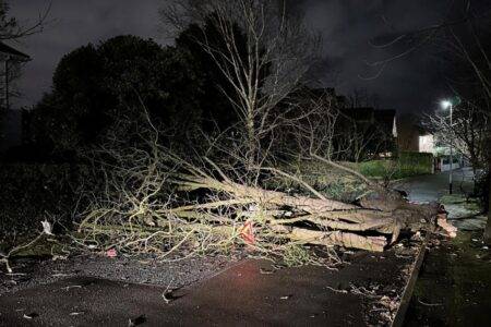 Storm Isha: Commuters face severe travel disruption as trains cancelled and flights grounded