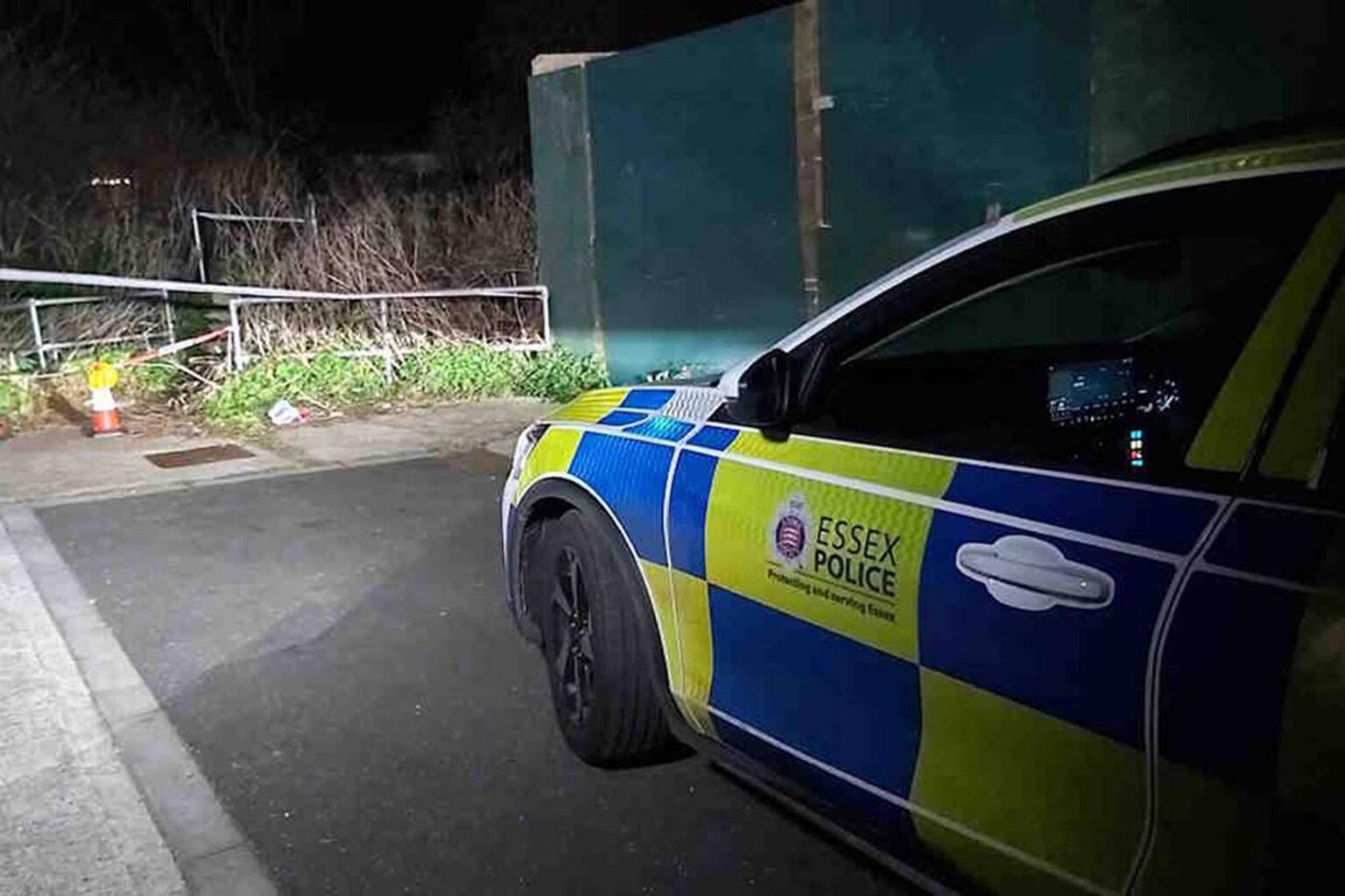 Breaking – Man bailed after woman killed by dogs