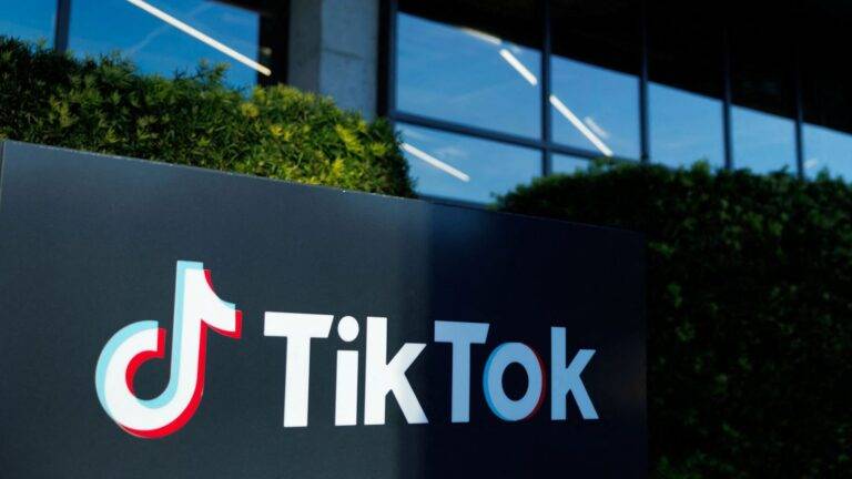 Inside the Hidden Efforts of Lawmakers to Pass the TikTok Bill