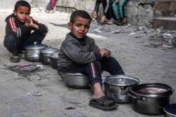 ‘Gaza on the brink of famine, 6 months into war’ – the full perspective