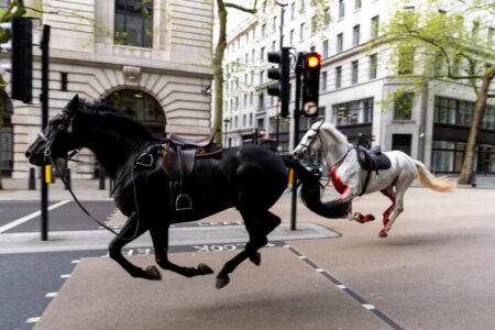 Five people injured after ‘blood-covered’ horse runs through central London
