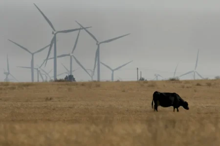 Daily News: Democrats need to show genuine respect for rural Americans’ desire for independence