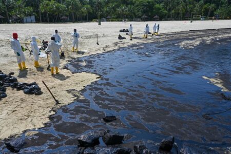Singapore races to clean up beaches after oil spill