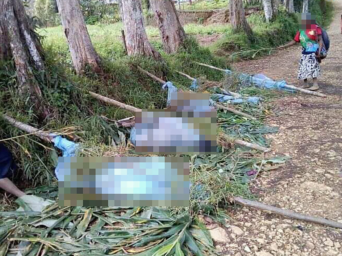 Gang kills women and children in Papua New Guinea massacre – reports