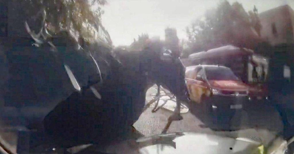Military horses bolt through London again after losing their riders | UK News Military horses bolt through London again after losing their riders | UK News