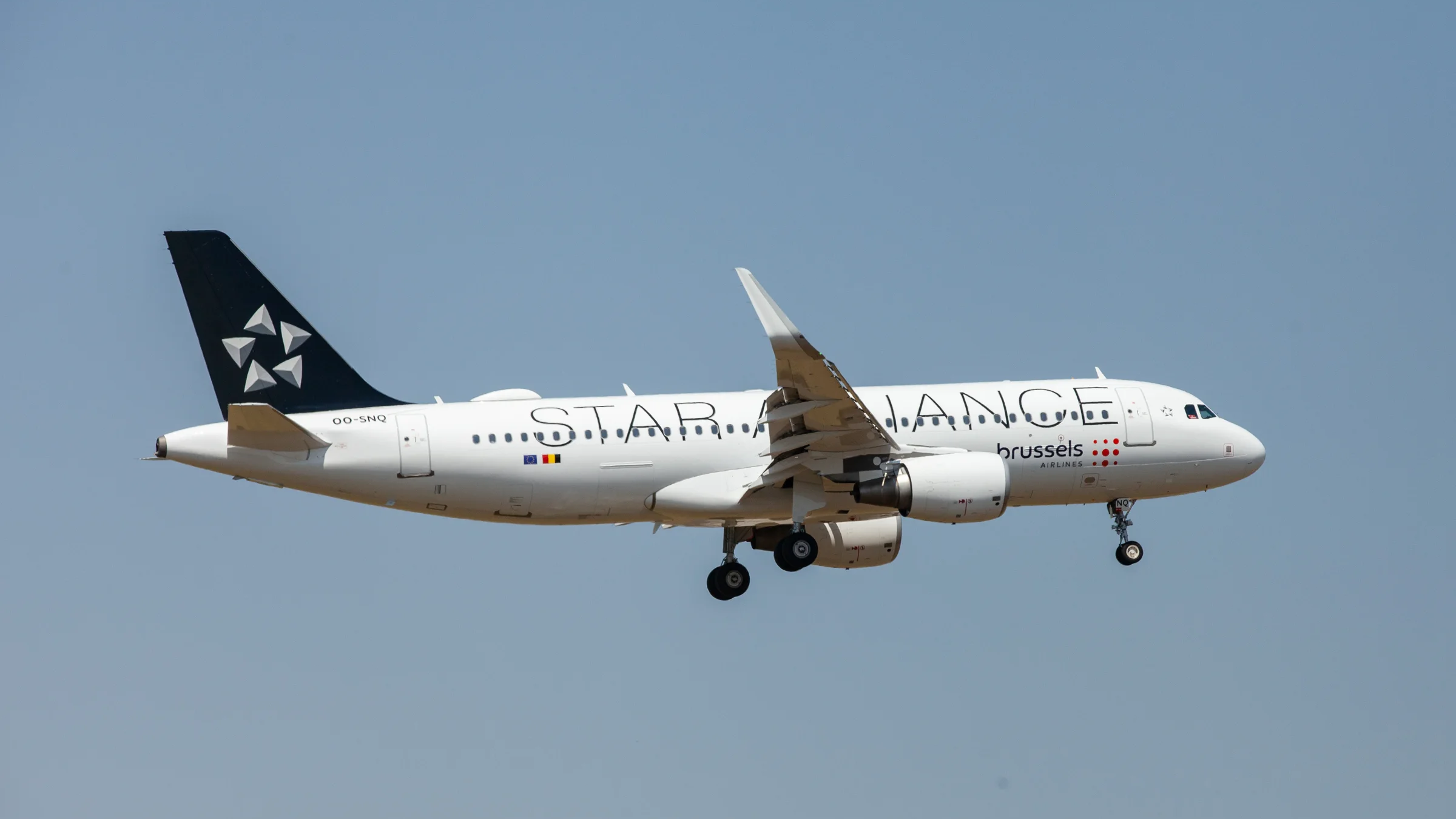 Star Alliance provides its fleet for Brussels Airlines.