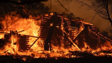 One dead as wildfires rage across Athens suburbs