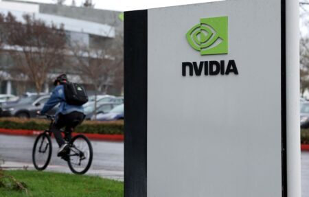 AI chip giant Nvidia shares fall despite record sales