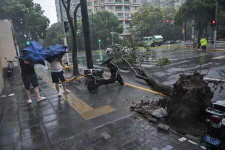 Shanghai Hit by Strongest Typhoon in 75 Years