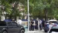 Child at Japanese school dies after stabbing in China