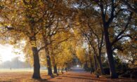 UK weather today 24/10/2024