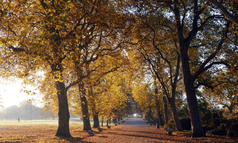 UK weather today 25/11/2024