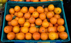 Spanish floods force some UK sellers to buy oranges from southern hemisphere