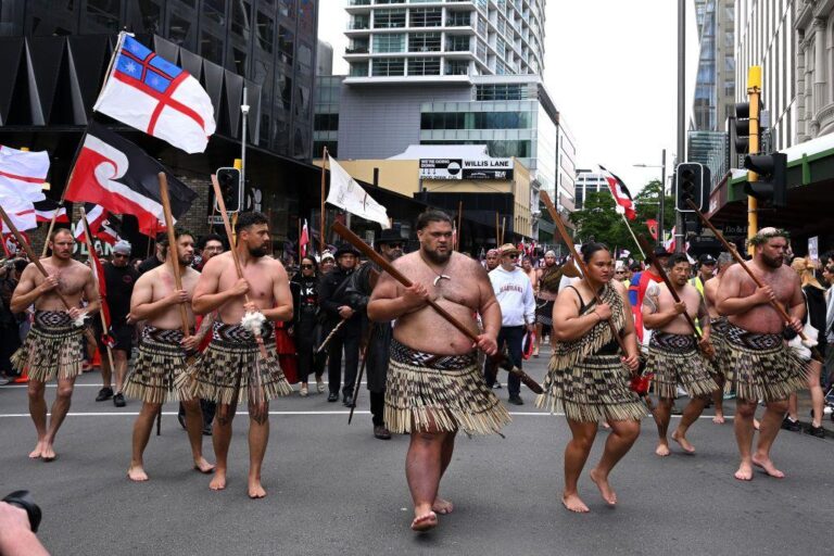 Thousands rally in Wellington against Māori Treaty Bill 