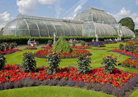 New glasshouses will provide temporary homes for plants at Kew Gardens