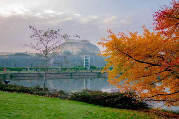 New glasshouses will provide temporary homes for plants at Kew Gardens