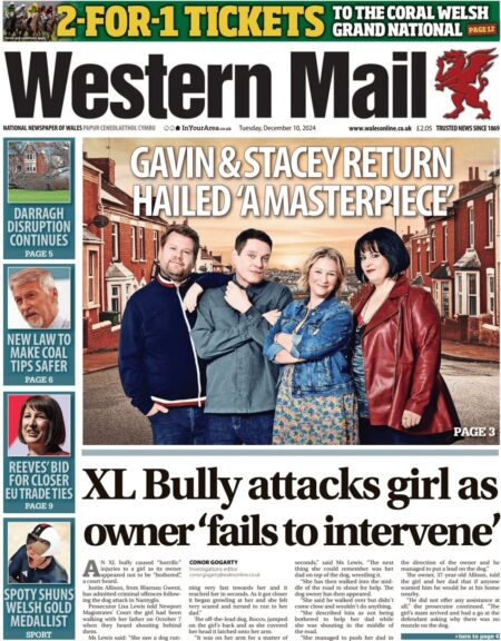 XL Bully attacks girl as owner ‘fails to intervene’ – Western Mail