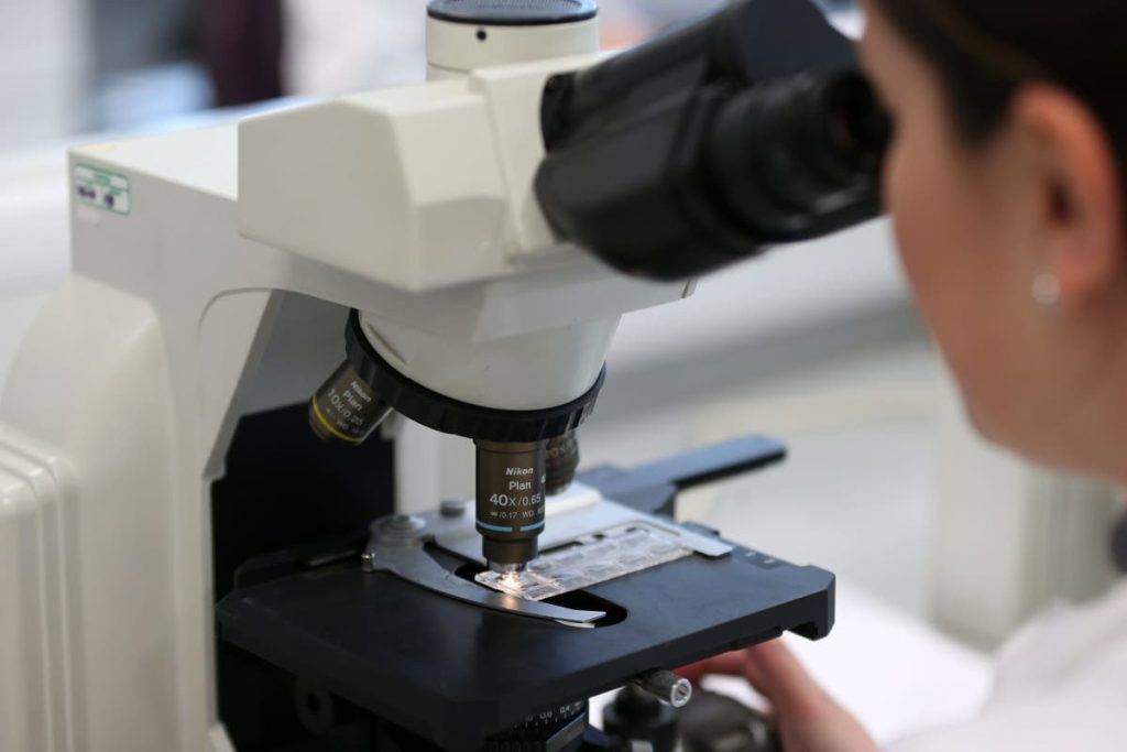 UK must do more to lead innovation in bio-tech sector, Lords committee says UK must do more to lead innovation in bio-tech sector, Lords committee says