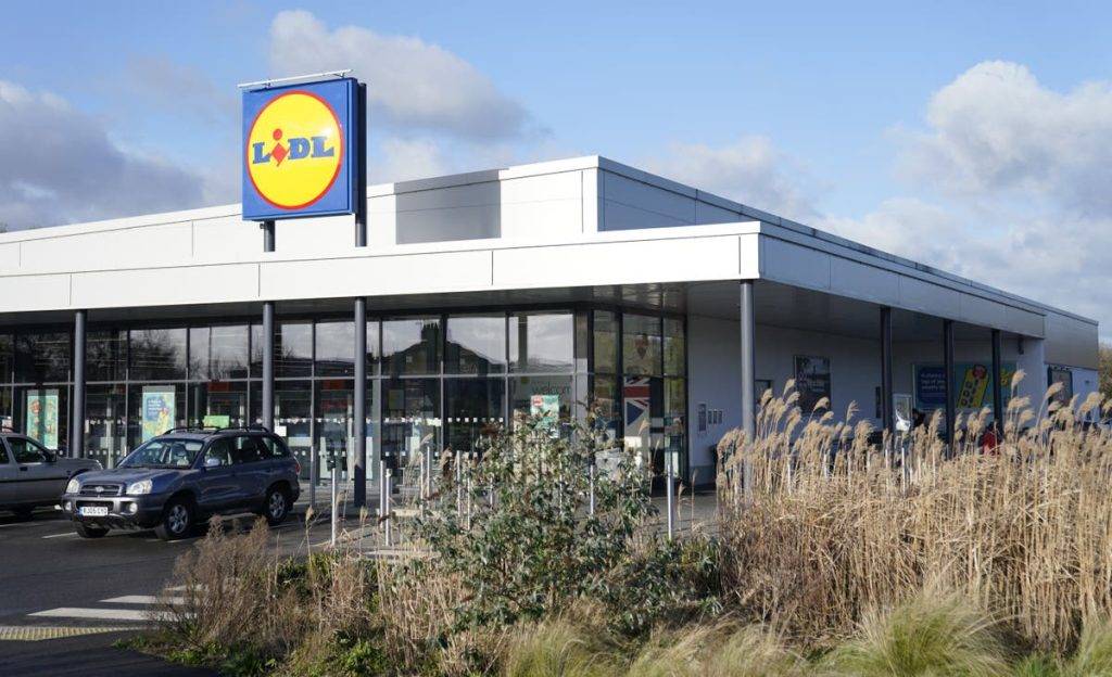 Shoppers warned do not eat bacteria infested cheddar cheese from Lidl