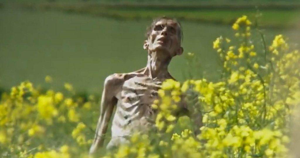 28 Years Later producer gives crushing update on ‘wholly different’ horror film