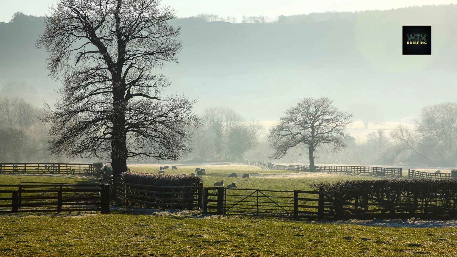 UK weather 23 January 2025