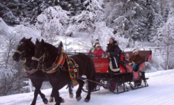 Riding on a horse-drawn carriage on a ski resort is a wonderful way to explore the area whilst on your backside.