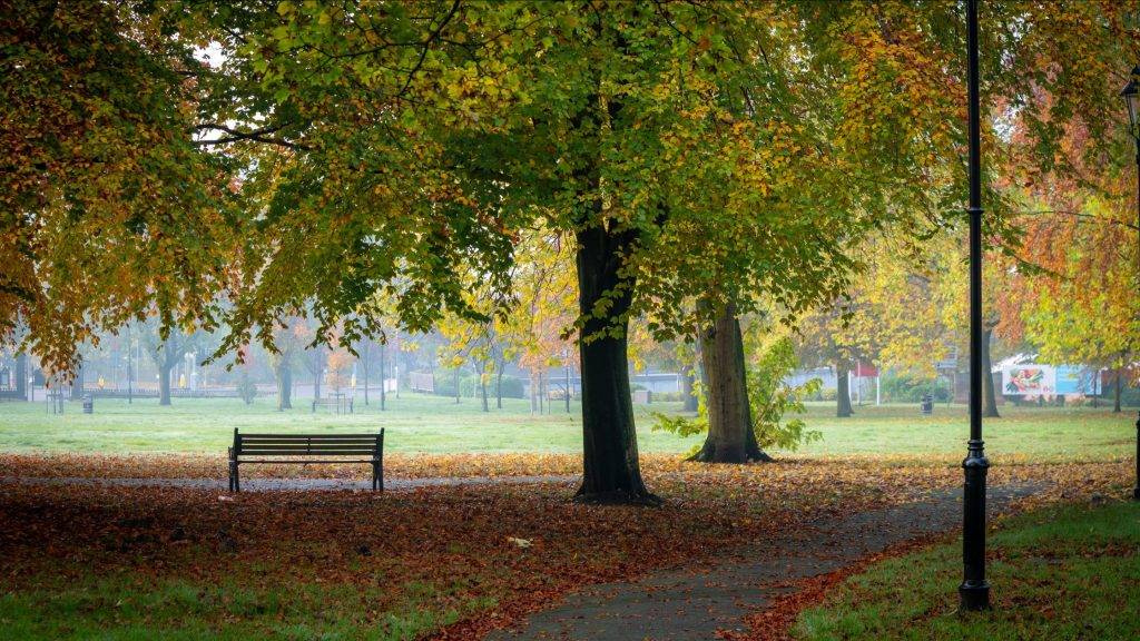 UK weather today 19 January 2025 UK weather today 19 January 2025