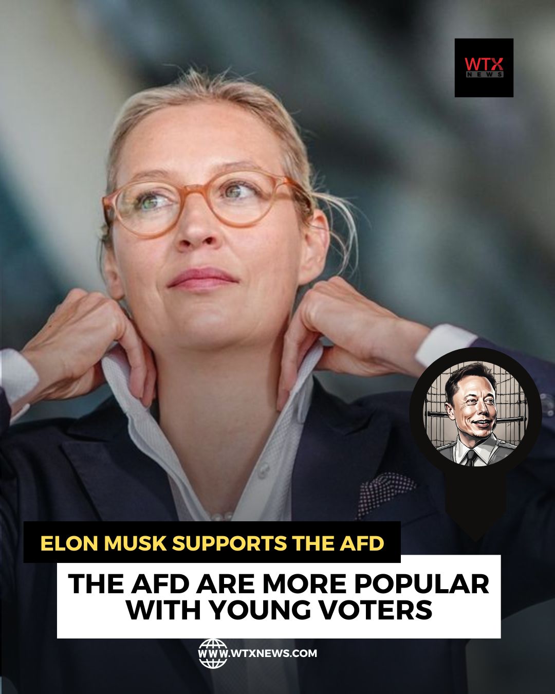 The AfD are more popular with Young voters in the German Federal Elections 2025