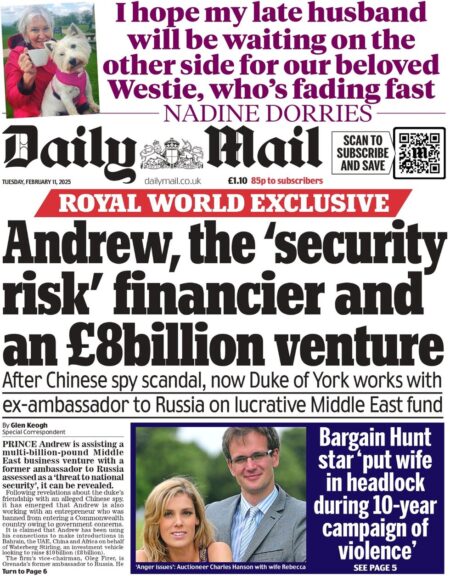 Andrew the security risk financier and an £8bn venture