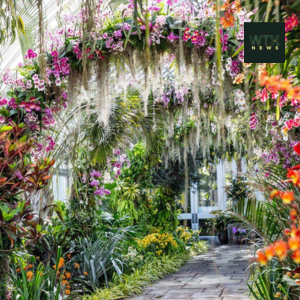 Beautiful colours and flowers at the New York Botanical Gardens in the Bronx 