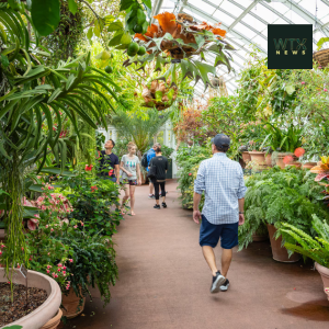 There are plants from all over the world at the New York Botanical Gardens in the Bronx