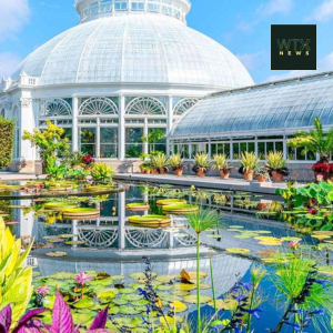 Explore the beauty of the New York Botanical Gardens in the Bronx 