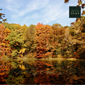 Staten Island greenbelt is over 2,800 acres of forests, wetlands, meadows and hiking trails